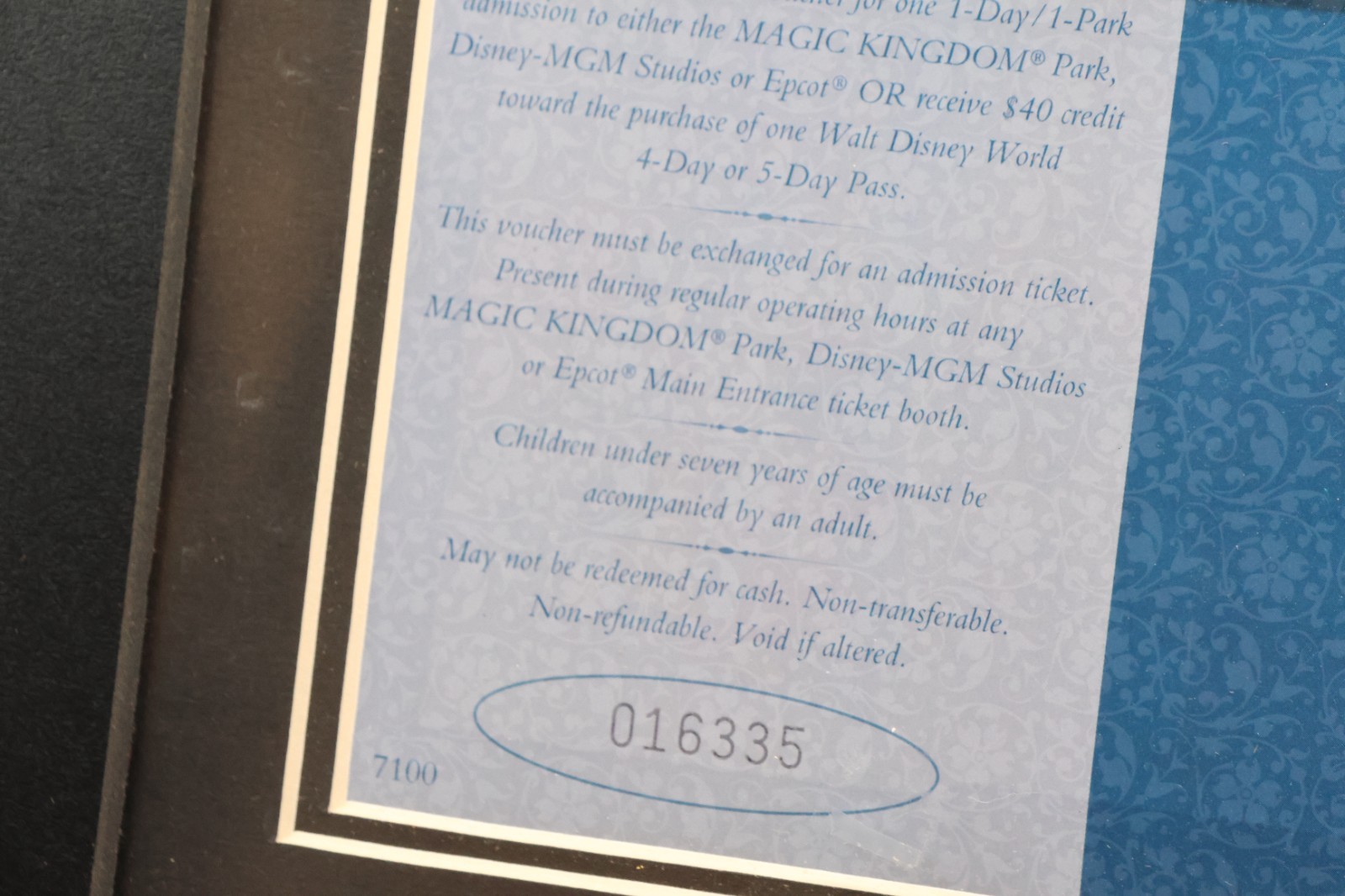 "Remember the Magic" Commemorative Passport WDW 1996 FRAMED w COA - Image 8